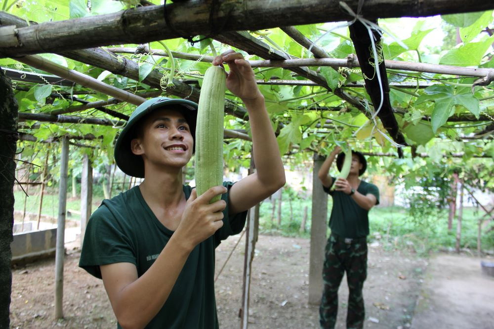 Vượt khó để tăng gia sản xuất